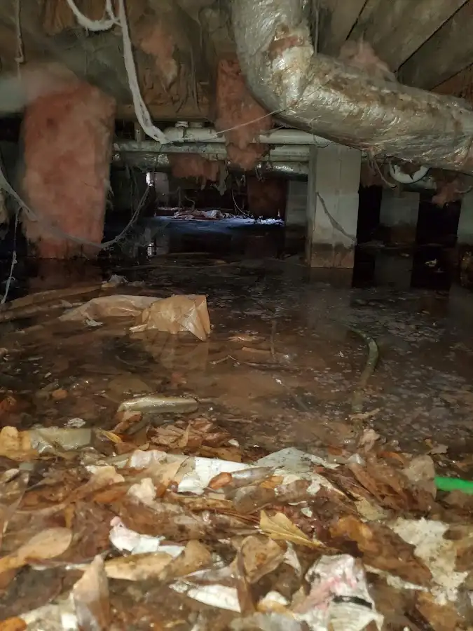 Crawl space flood assessment for Leak Detection & Repair in Weston