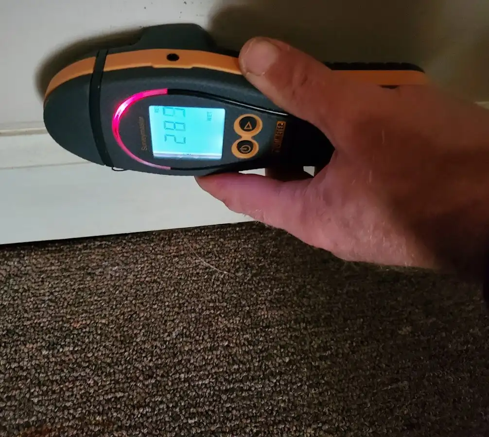 Moisture detection at baseboard during Burst Pipe Cleanup in Weston